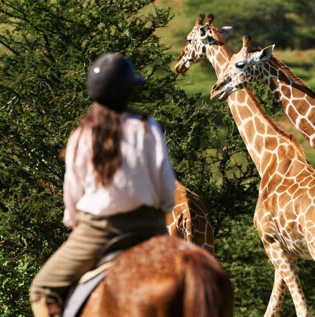 Arusha National Park Day Trip