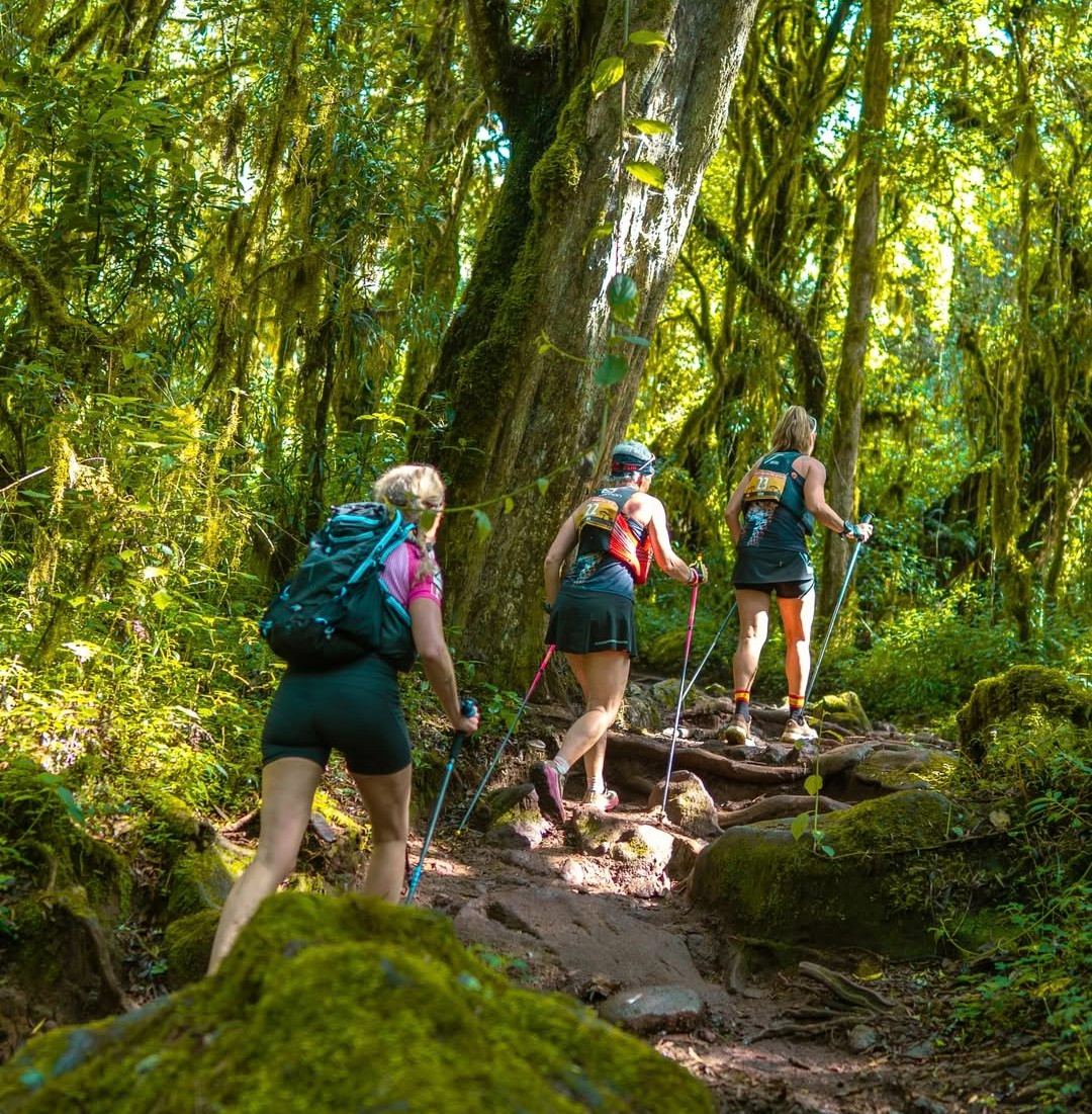 Kilimanjaro Day Hike Marangu Route