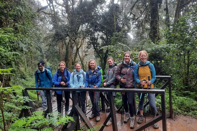 Kilimanjaro Day Hike