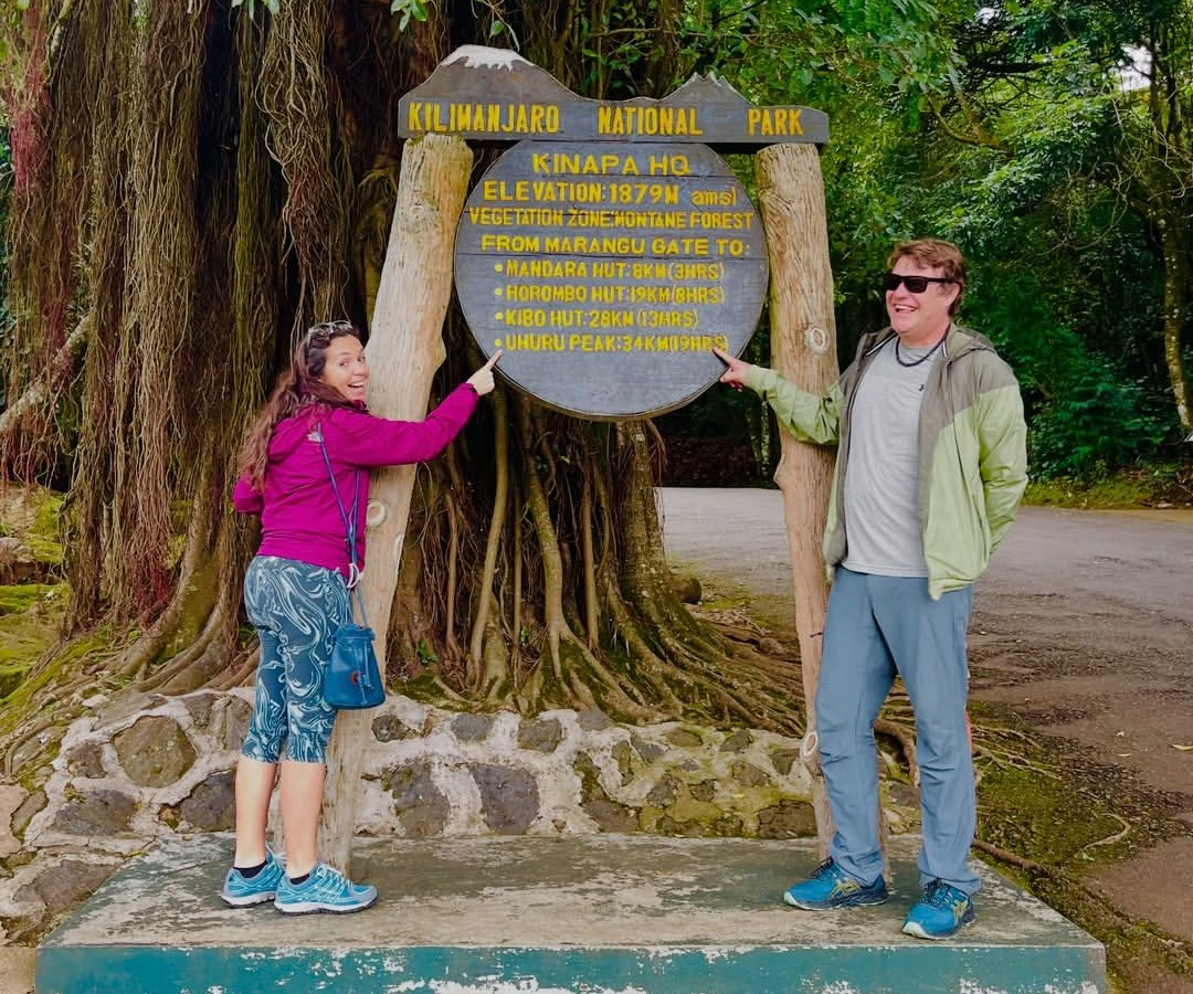 Colobus monkeys and rainforest wildlife on Mount Kilimanjaro