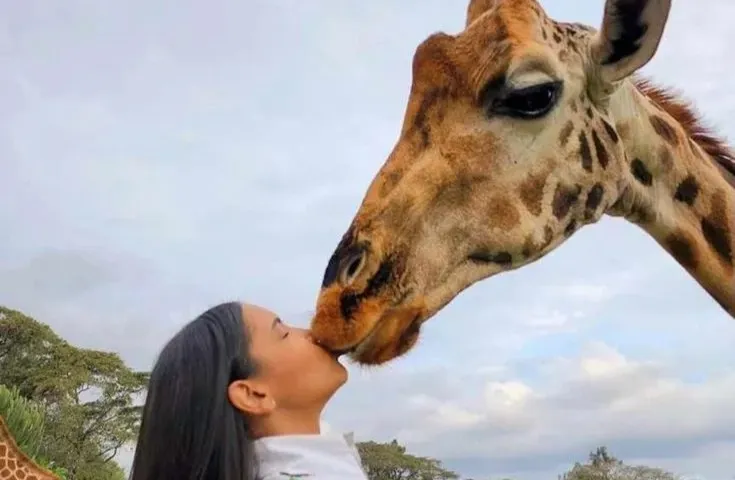 Arusha Safari Day Tours - Ngorongoro Crater safari vehicle with travelers