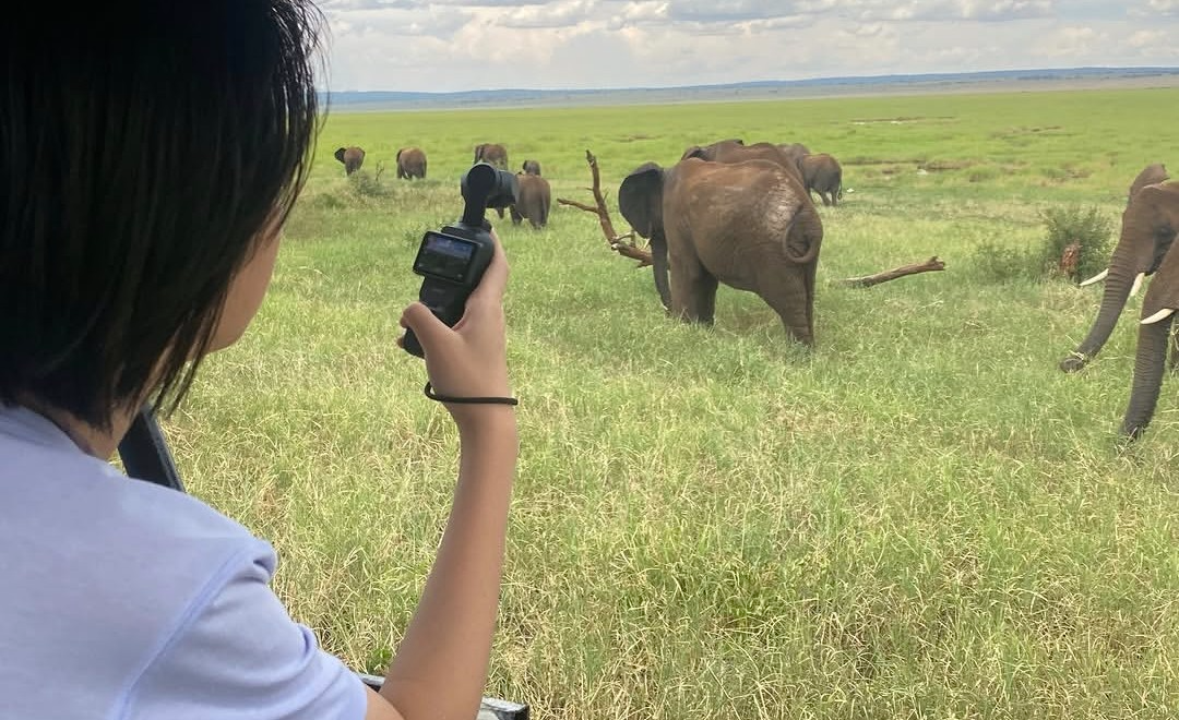 Tarangire National Park Location and Safari Route from Arusha Tanzania